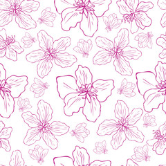 Apple flower tree blossom hand drawn isolated on white background, seamless vector floral pattern, pink sakura line art for greeting card, package design cosmetic, wedding invitation, wallpaper beauty