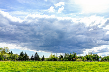 Stormy large gray cloudscape with green sheep pasture during summer