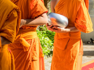 Row of monks get offering in the morning at buddhist temple in Thailand