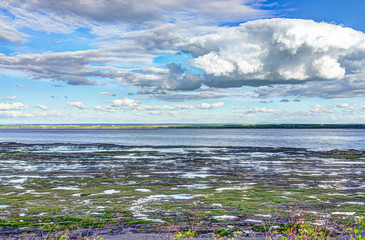 Landscape view of Saint Lawrence river from Ile D'Orleans, Quebec, Canada in summer with green plants