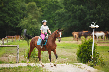 Horse rider in a stable