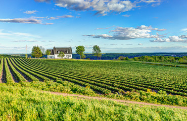 Landscape view of farm in Ile D'Orleans, Quebec, Canada with house - obrazy, fototapety, plakaty