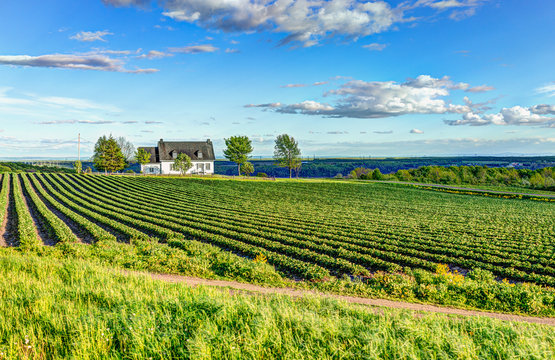 Landscape view of farm in Ile D'Orleans, Quebec, Canada with house