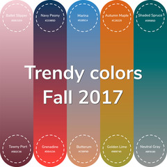 vector illustration, infographics, trendy colors of the 2017 fal