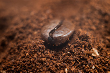 Coffee grain closeup
