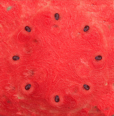 Red texture of watermelon