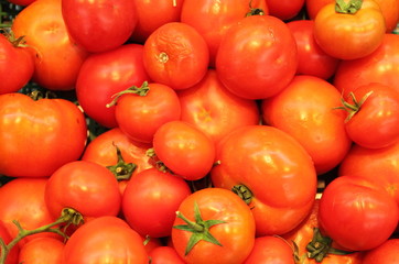 Tomatoes