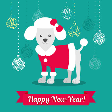 Vector illustration. Poodle in a coat against the background of Christmas balls. Christmas picture for decoration. Year of the dog.