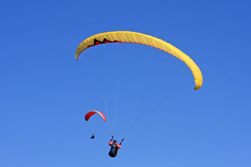 Paragliders flying