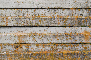 Concrete plates with  yellow moss. Abstract background.