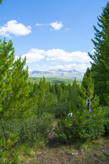 forest mountains pass Ulaganskiy. Altai, Russia