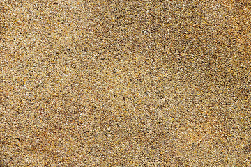 Surface of sand wall texture