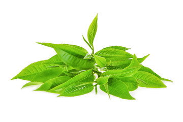 pile of green tea leaves ilsolated on white background