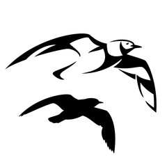 flying seagull vector design - black and white bird outline and silhouette
