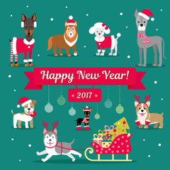 Vector Christmas Set. Dogs in winter clothes. Christmas illustration. Congratulations on the sign.
