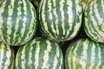 Wassermelonen