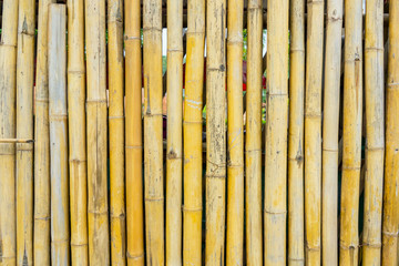 Bamboo trunk background and texture