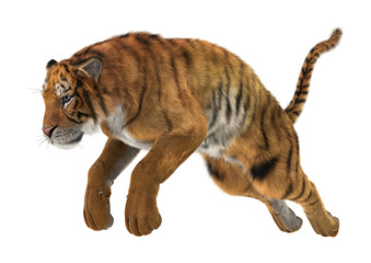 3D Rendering Big Cat Tiger on White