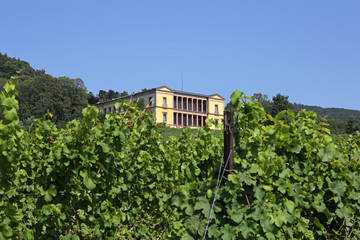 Fototapeta na wymiar Villa Ludwigshöhe