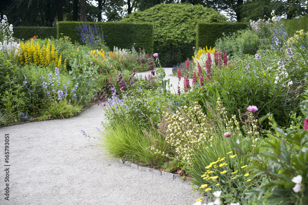 Wall mural english herbaceous garden border