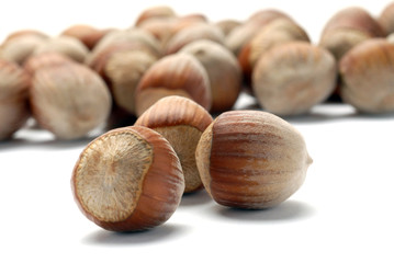 Hazelnuts in the shell isolated on white background