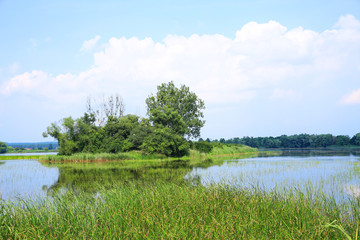 The idyllic Dolina Baryczy National Park in Dolnoslaskie, Silesia, Poland
