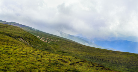 Panorama with the Carpathian mountains. Romania