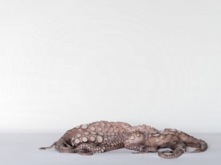 Frischer Tintenfisch vor der Zubereitung