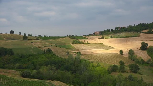 Paesaggio collinare estivo