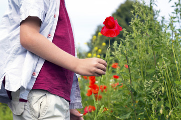 Nice blond boy with a red poppy in his hand.