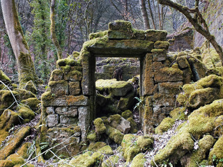 the remains of a derelict abandoned stone house covered in moss and overgrown with trees in a...