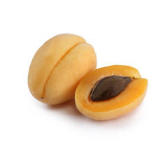 Apricot fruits isolated