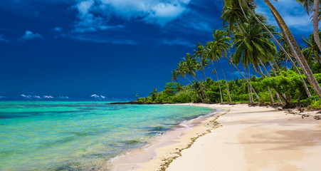 Tropical beach on south side of Upolu, Samoa Island with palm trees