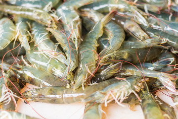Fresh shrimp