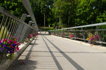  A humpbacked bridge with flowers and wedding locks over the Ogre River.