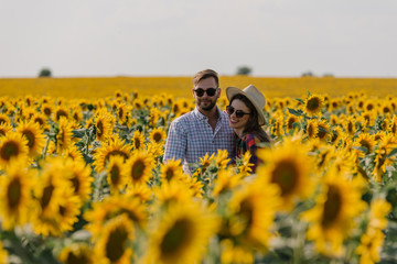 Fototapeta premium Beautiful couple enjoying an afternoon in a sunflower field