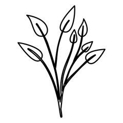sketch contour of branches with leaves plant
