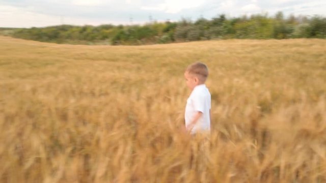 A happy little boy runs around with his father on the yellow field.
