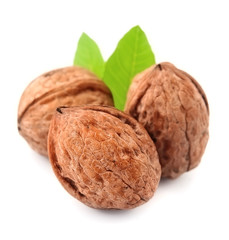 Walnuts with leaves.