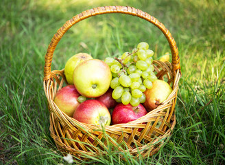 fruit basket on a lawn with grass