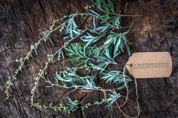 Absinthium on wooden background
