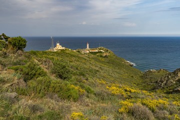 Fototapeta na wymiar Lighthouse of Cap Bear