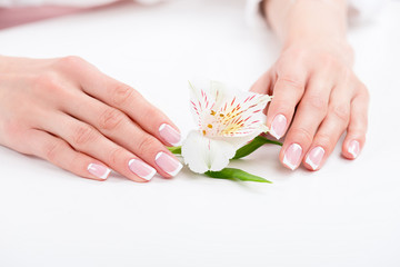 close-up view of female hands with beautiful manicure holding orchid flower on white