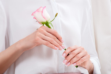 close-up partial view of young woman holding beautiful pink rose