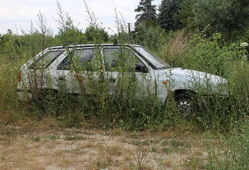 Overgrown wreck of automobile in Podkerepušky, Bratislava, Slovakia