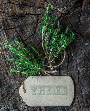 Fresh organic Thyme on wooden background