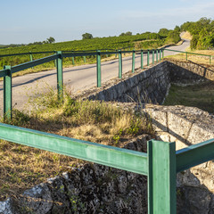 Straße am Land mit grünen Leitplanken