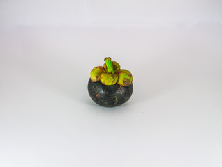 Mangosteen