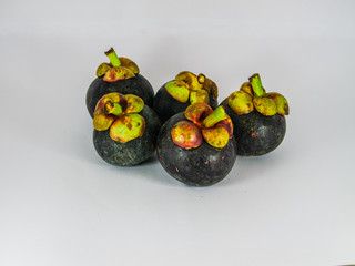 Mangosteen