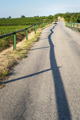 Straße mit grünen Leitplanken und Schatten